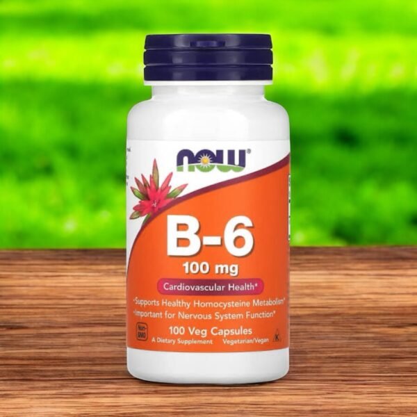 NOW Foods B-6