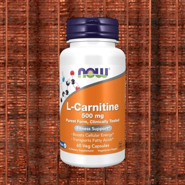 NOW L-Carnitine 500 